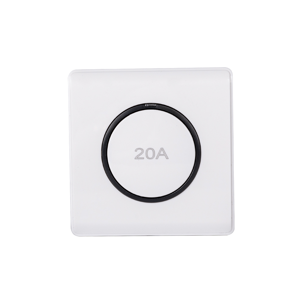 20A DP Switch — Series 01