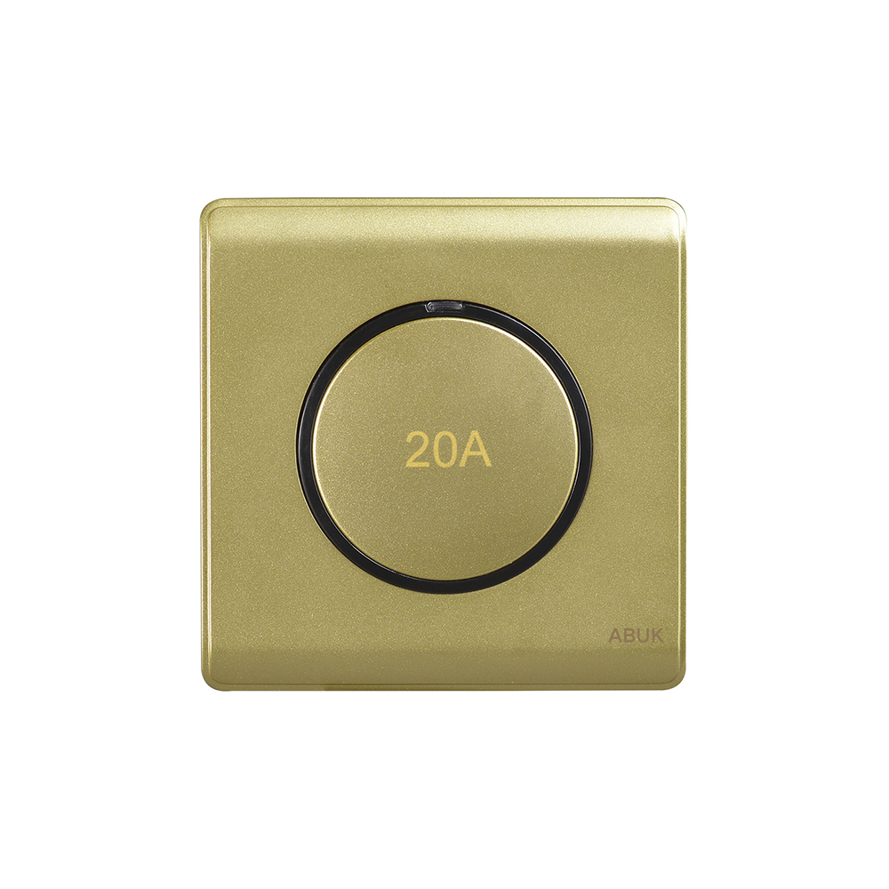 20A DP Switch — Series 01