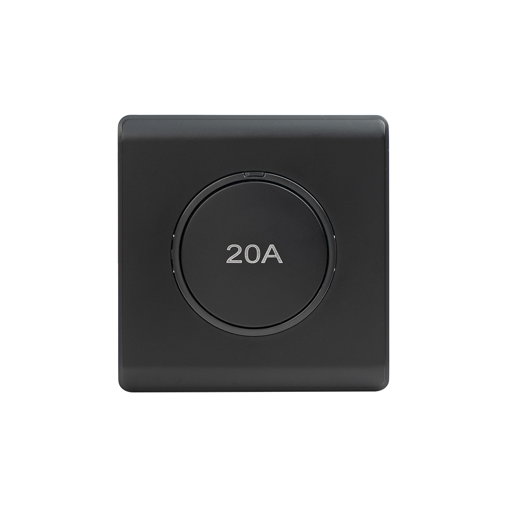 20A DP Switch — Series 01