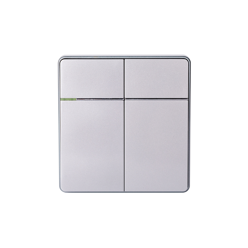 2 Gang Rocker Switch — Series 06
