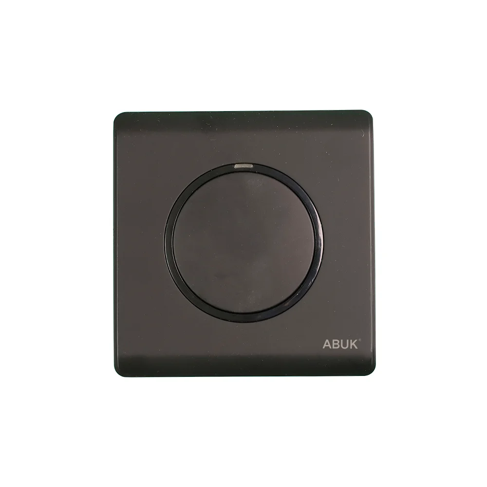 2 Way Wall Switch