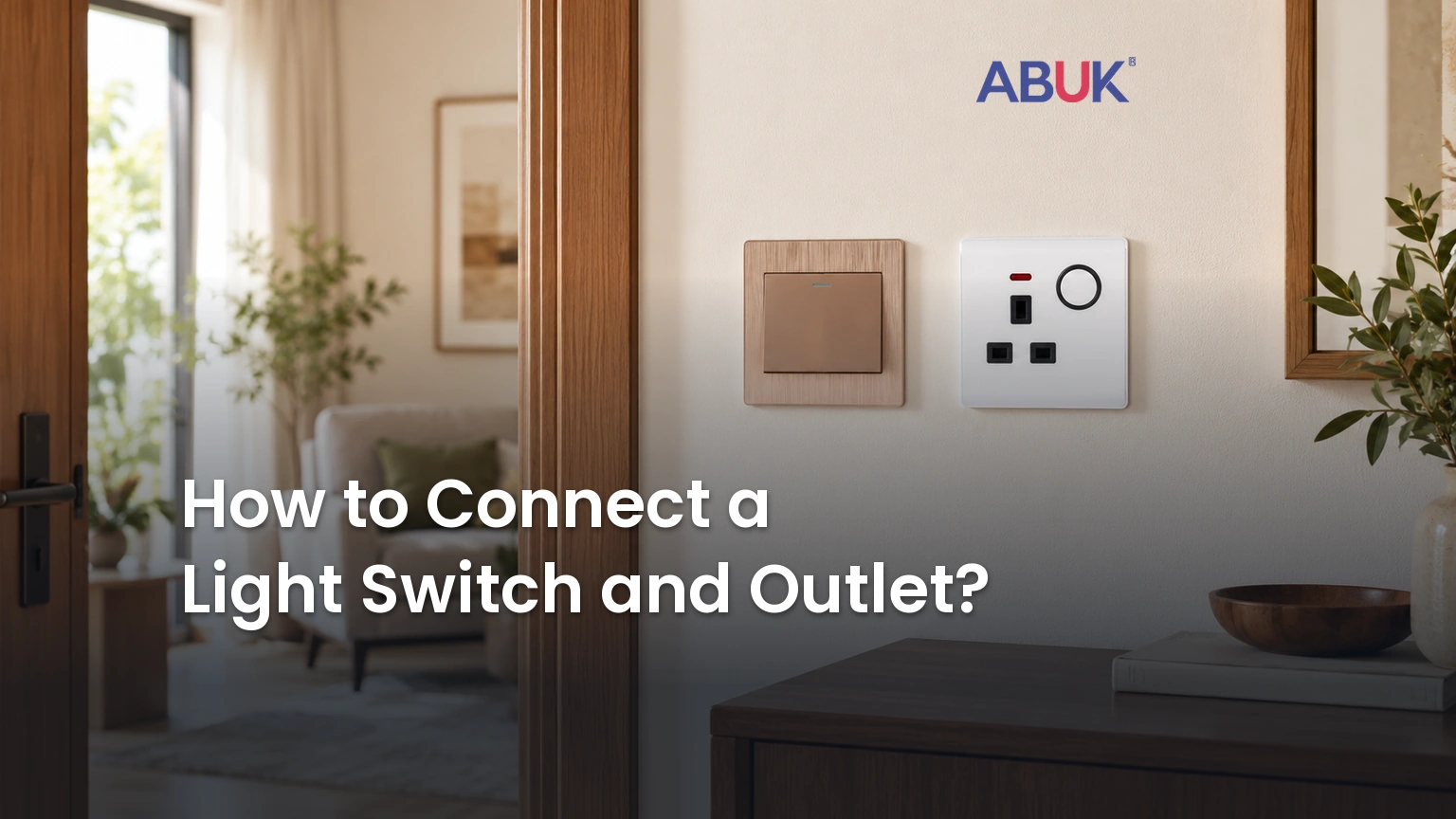 How to Connect a Light Switch and Outlet?