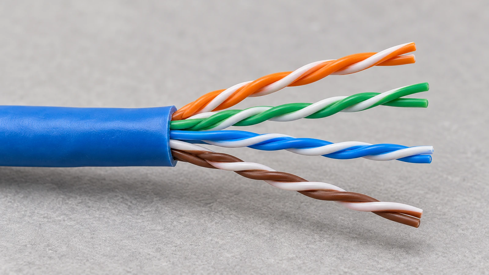 Disconnected Ethernet cable sample with four visibly preserved twisted pairs
